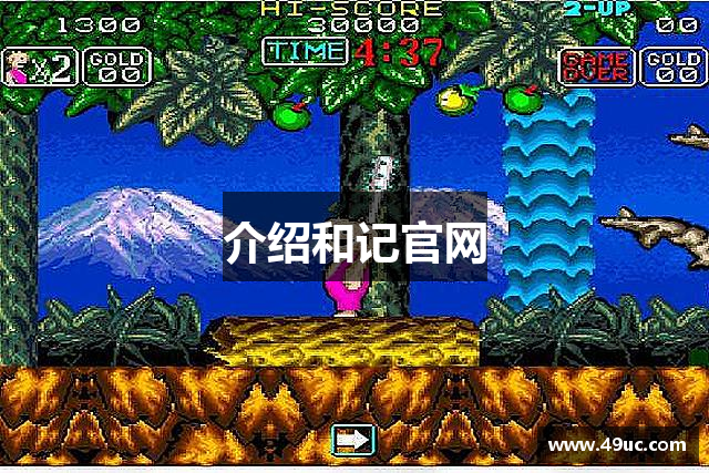 介绍和记官网